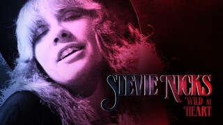 Stevie Nicks: Wild at Heart