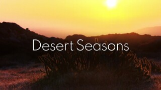 Desert Seasons