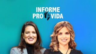 Informe provida