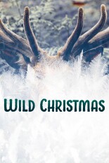 Wild Christmas