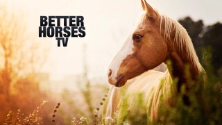 Better Horses TV