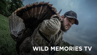 Wild Memories TV