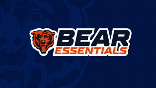 Bear Essentials