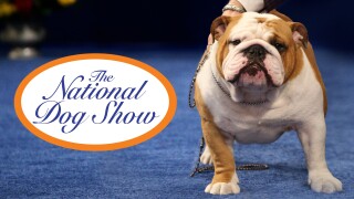 The National Dog Show