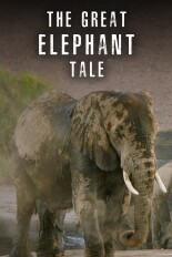 The Great Elephant Tale