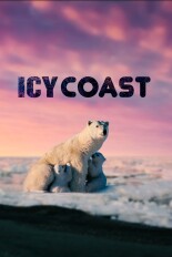 Icy Coast