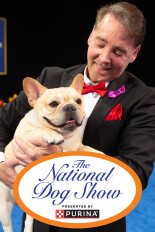 The National Dog Show