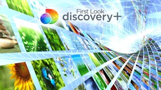 First Look: discovery+