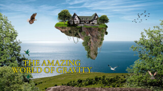 The Amazing World of Gravity