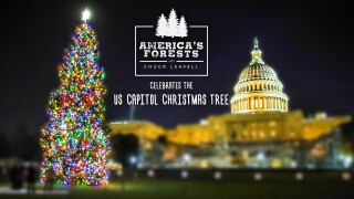 America's Forests With Chuck Leavell: U.S. Capitol Christmas Tree