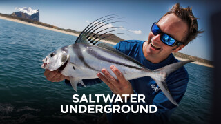 Saltwater Underground With Nick Honachefsky