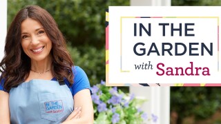 In the Garden With Sandra