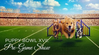 Puppy Bowl XVII: Pre-Game Show