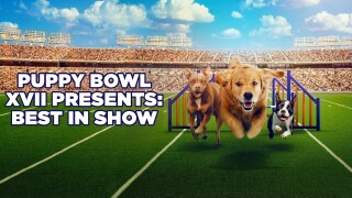 Puppy Bowl XVII Presents: Best in Show