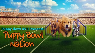 Puppy Bowl XVII Presents: Puppy Bowl Nation