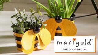 Marigold -- Outdoor Decor