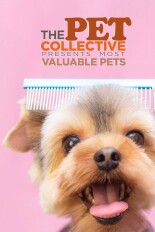 The Pet Collective Presents Most Valuable Pets