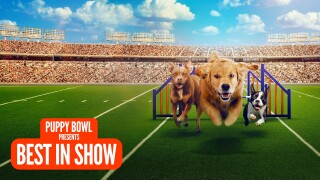 Puppy Bowl Presents: Best in Show