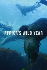 Africa's Wild Year