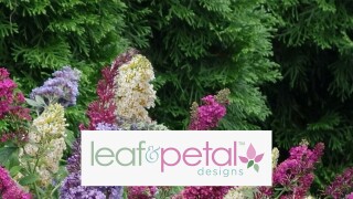 Outdoor Living Featuring Leaf & Petal Designs