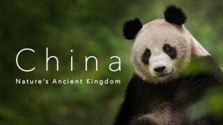 China: Nature's Ancient Kingdom