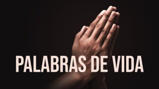 Palabras de vida