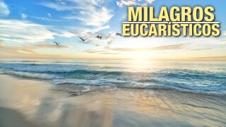 Milagros eucarísticos