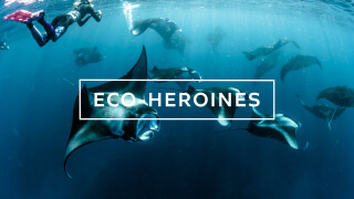 Eco-Heroines