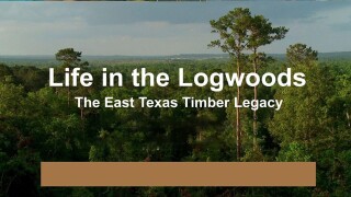 Life in the Logwoods: The East Texas Timber Legacy