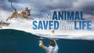 An Animal Saved My Life