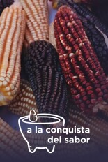 A la conquista del sabor