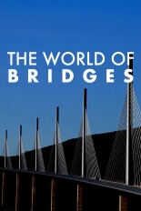 The World of Bridges