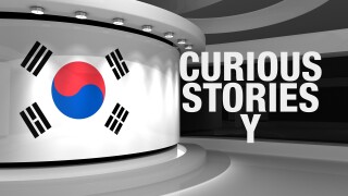 Curious Stories Y