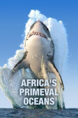 Africa's Primeval Oceans