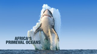 Africa's Primeval Oceans