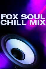 Fox Soul Chill Mix