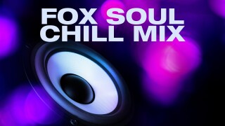 Fox Soul Chill Mix