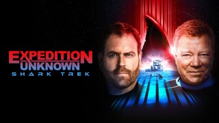 Expedition Unknown: Shark Trek