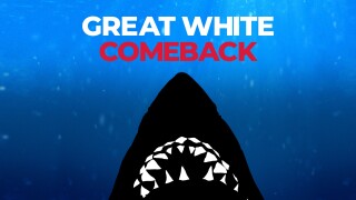 Great White Comeback