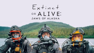 Extinct or Alive: Jaws of Alaska