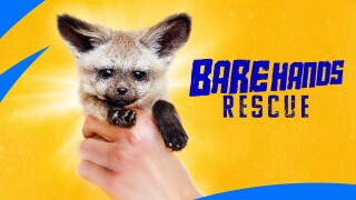 Bare Hands Rescue
