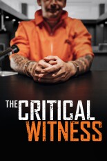 The Critical Witness