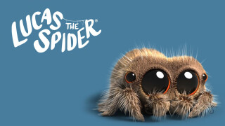 Lucas the Spider