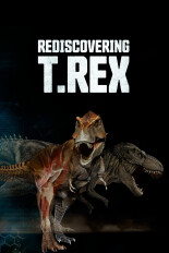 Rediscovering T.rex