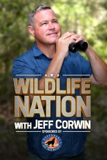 Wildlife Nation With Jeff Corwin