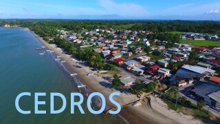 Cedros