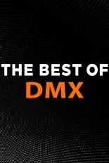 The Best of DMX