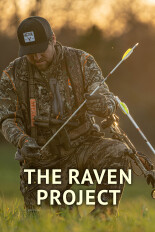 The Raven Project
