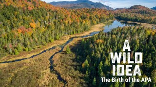 A Wild Idea: The Birth of the APA