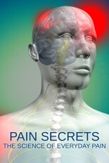 Pain Secrets: The Science of Everyday Pain